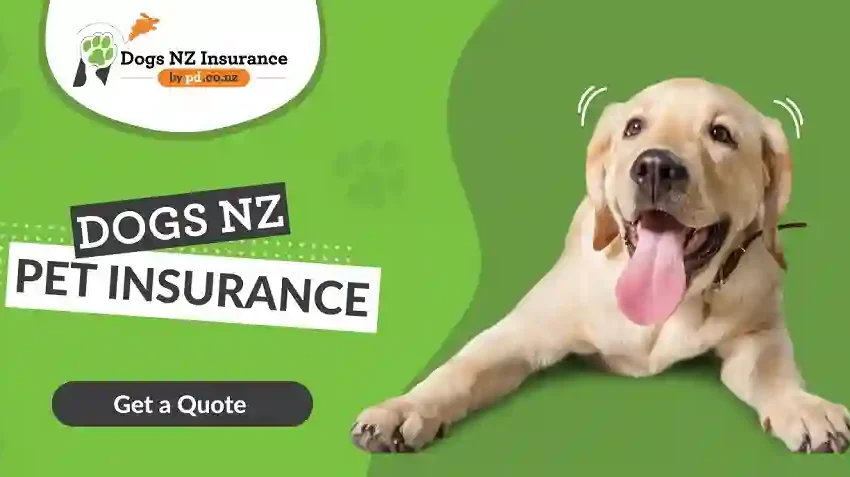  Wellness on Four Legs: Choosing the Best Pet Insurance Plan