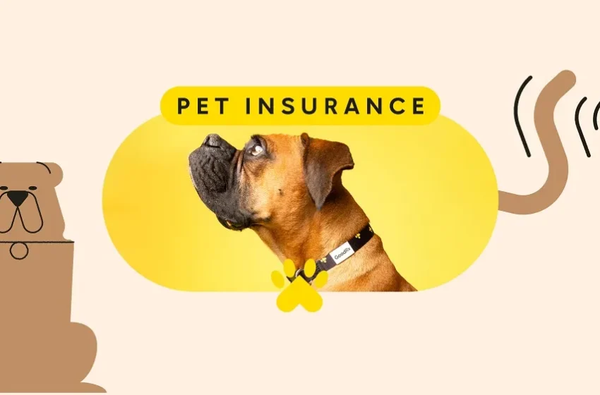  Nationwide Pet Insurance Login | DETAILS