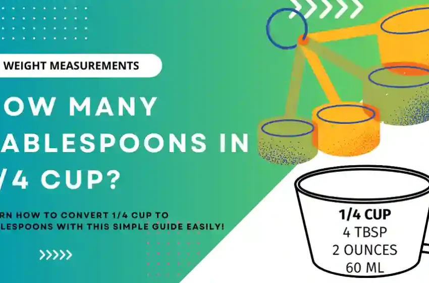  How Many 1/4 Cups Make 1/2 Cup or 1 Cup? Simple Guide