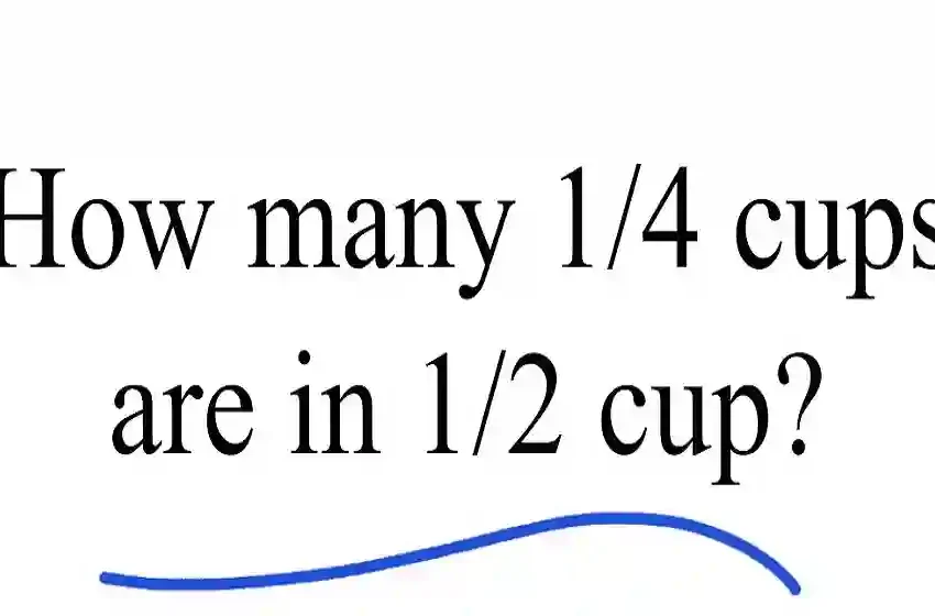  How Many 1/4 Cups Make 1/2 Cup or 1 Cup? Easy Conversions