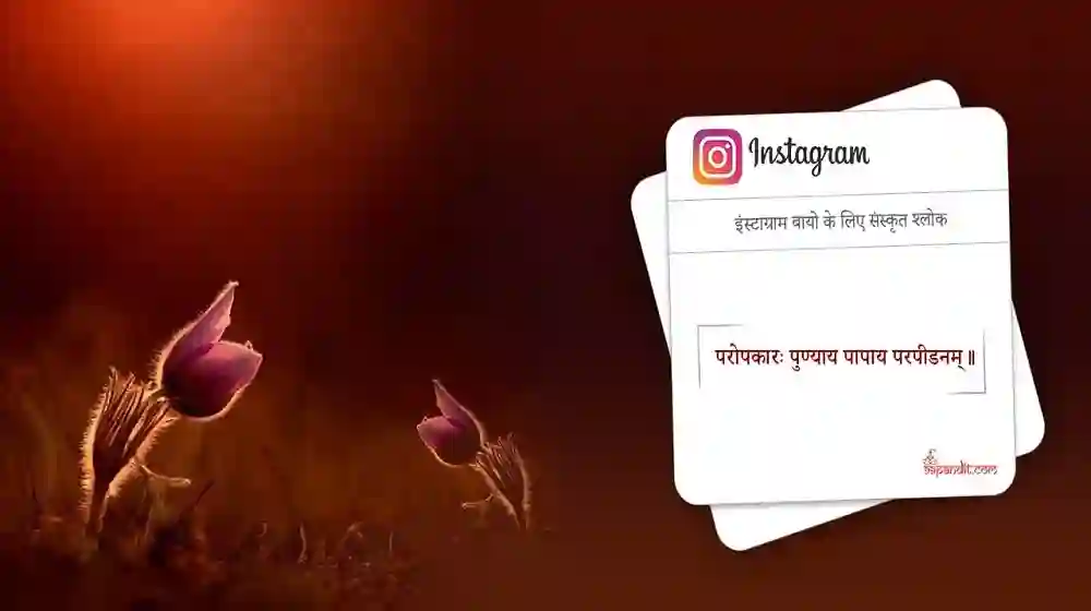 Mahadev Bio for Instagram in Sanskrit