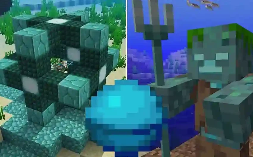  The Importance Of Minecraft Heart Of The Sea In Survival Mode